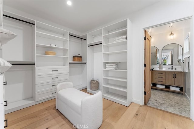 spacious closet featuring light hardwood / wood-style flooring and sink