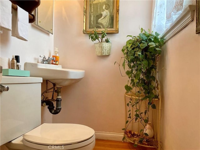 bathroom with hardwood / wood-style flooring and toilet