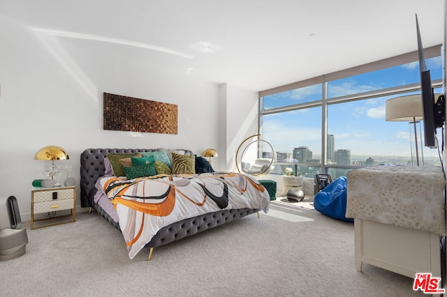 carpeted bedroom with floor to ceiling windows and multiple windows