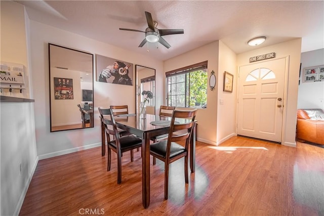 dining area with ceiling fan and light hardwood / wood-style flooring