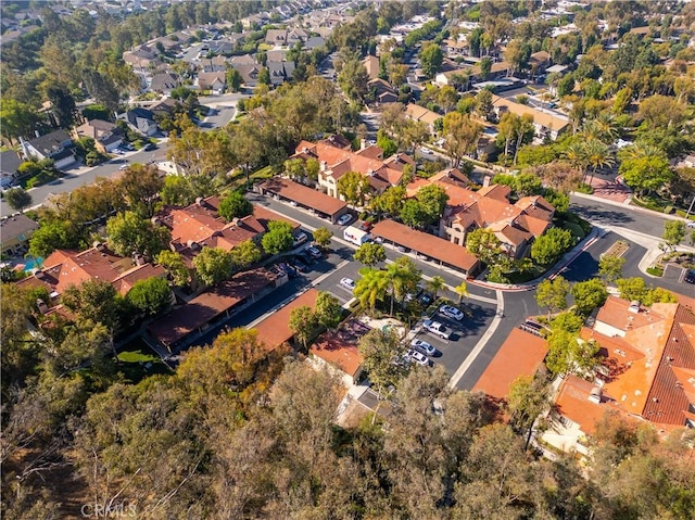 bird's eye view