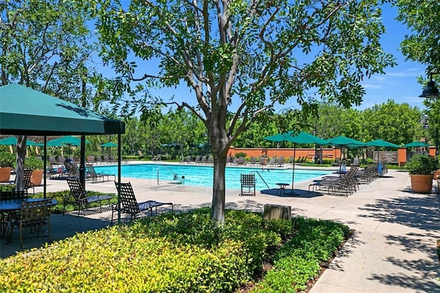 view of pool featuring a patio area