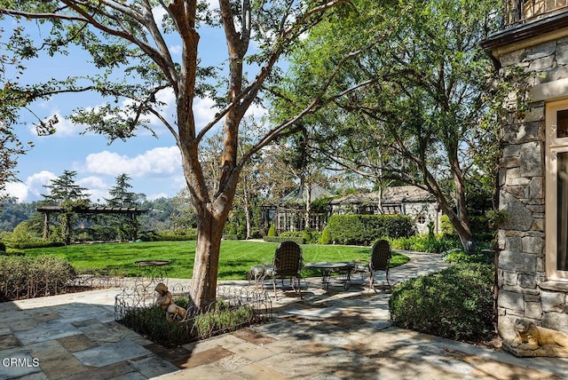 view of home's community with a yard and a patio