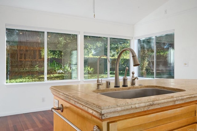 interior details with dark hardwood / wood-style flooring and sink