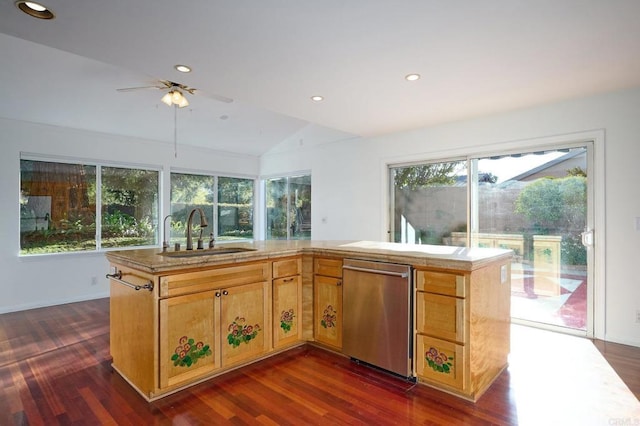 kitchen featuring sink, a wealth of natural light, dark wood-type flooring, and stainless steel dishwasher