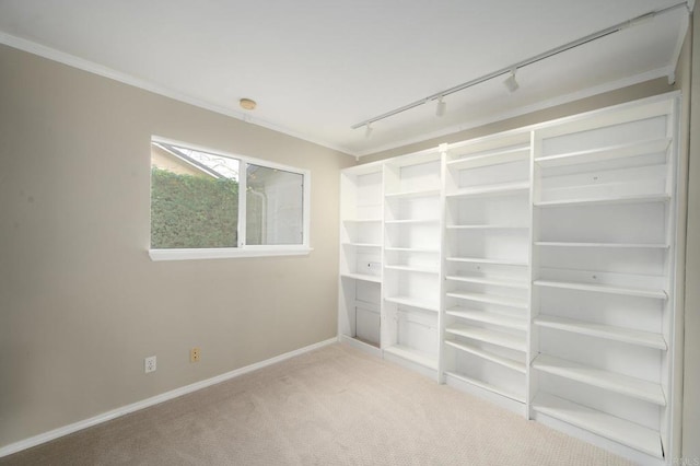 spacious closet with light colored carpet