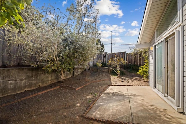 view of yard featuring a patio area