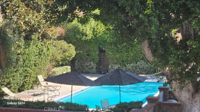 view of pool featuring a patio