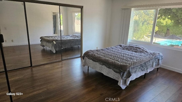 bedroom featuring multiple windows, a closet, and dark wood-type flooring