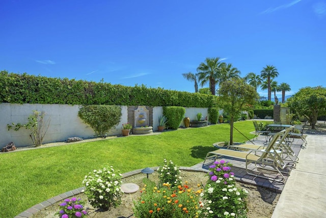 view of yard featuring a patio area