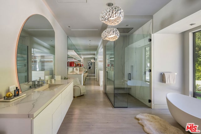 bathroom with separate shower and tub, vanity, and wood-type flooring