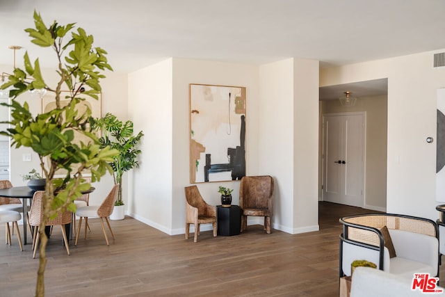 living area featuring dark wood-type flooring