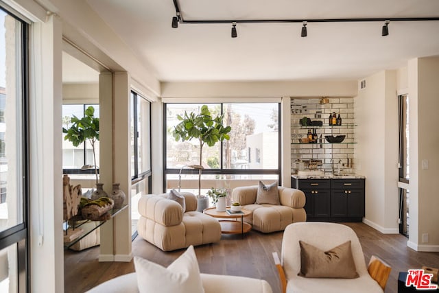 living room featuring track lighting and dark hardwood / wood-style flooring