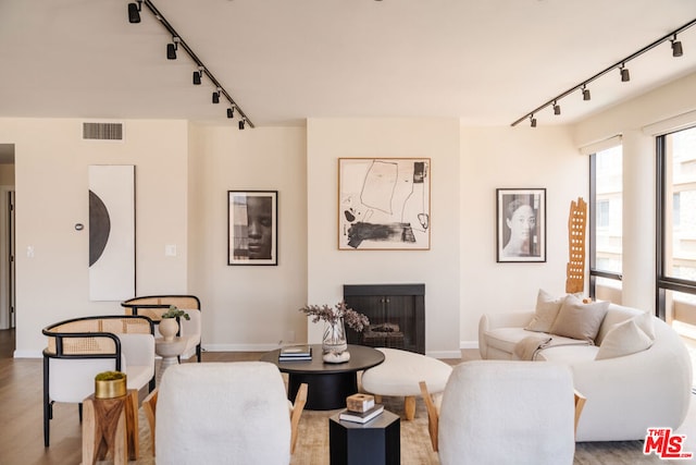 living room featuring light wood-type flooring and track lighting