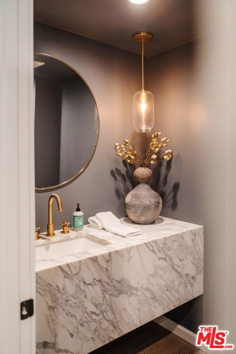 bathroom featuring wood-type flooring and vanity