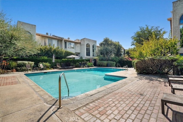 view of pool featuring a patio