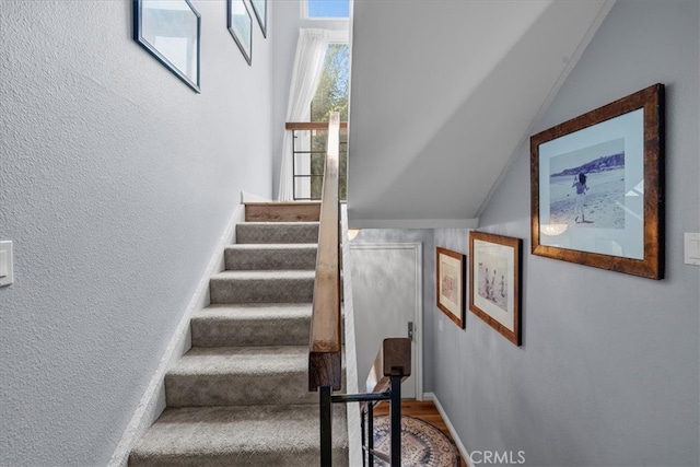 staircase with wood-type flooring