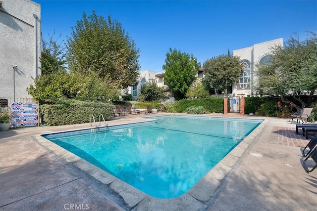 view of pool featuring a patio area