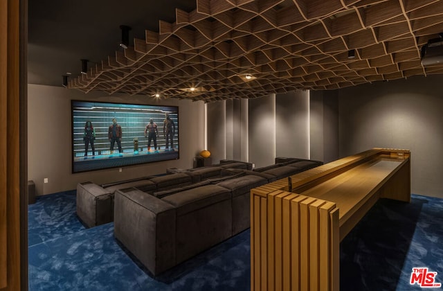 view of carpeted home theater