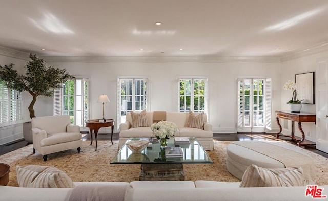 living room with crown molding and wood-type flooring