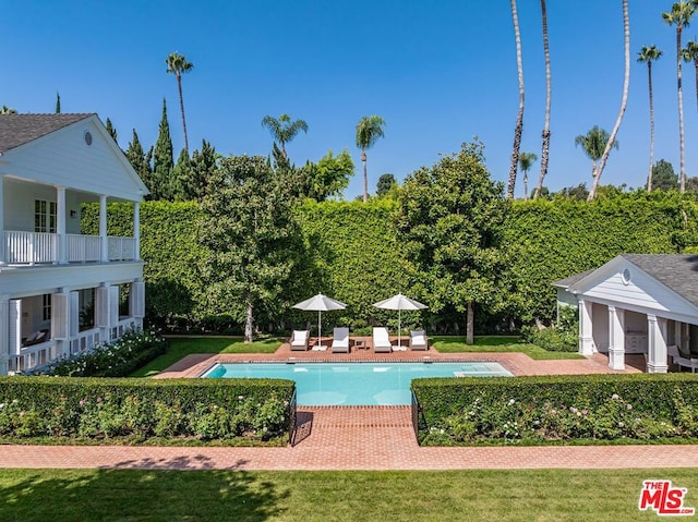 view of pool with a patio and a lawn