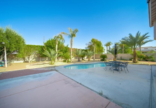 view of swimming pool featuring a patio area