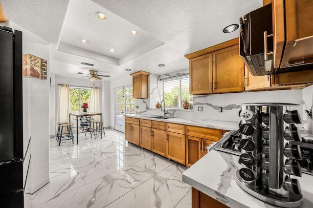 kitchen featuring a raised ceiling, a wealth of natural light, and ceiling fan