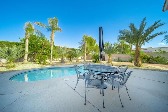 view of swimming pool with a patio