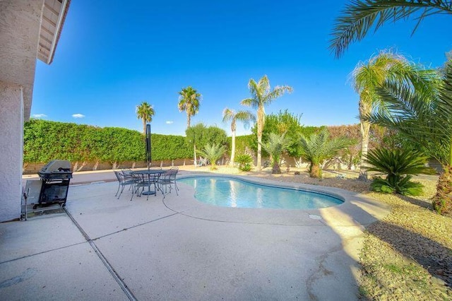 view of swimming pool with a grill and a patio