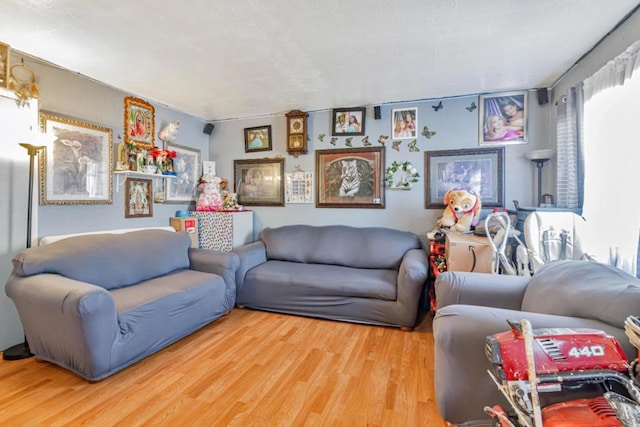 living room featuring hardwood / wood-style floors