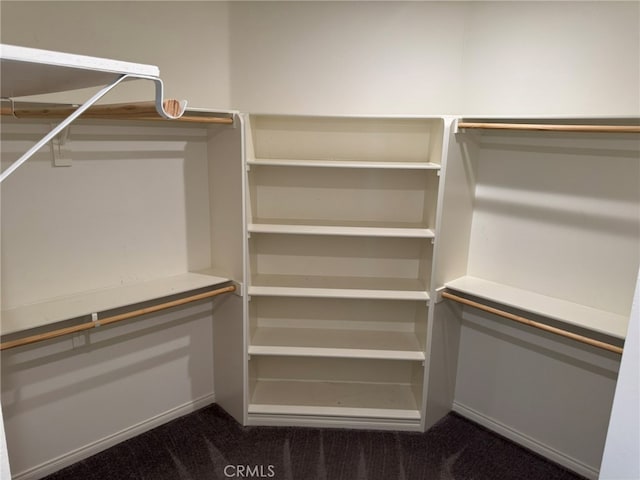 spacious closet featuring carpet floors