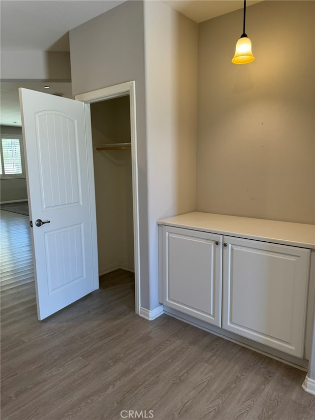 interior space with a closet and light wood-type flooring