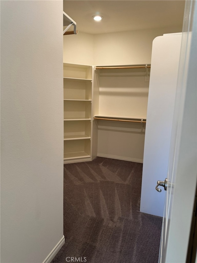 spacious closet featuring dark carpet