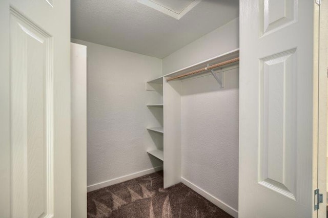 spacious closet featuring dark colored carpet