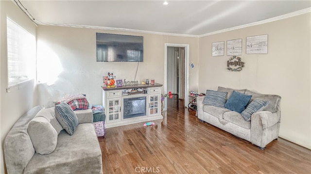 living room featuring a fireplace, wood-type flooring, and ornamental molding