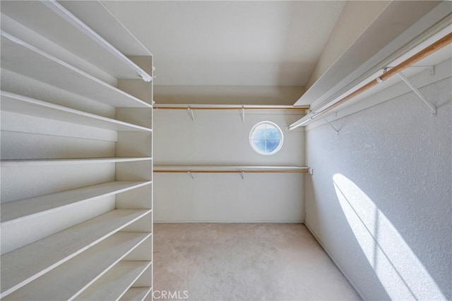 walk in closet featuring light carpet