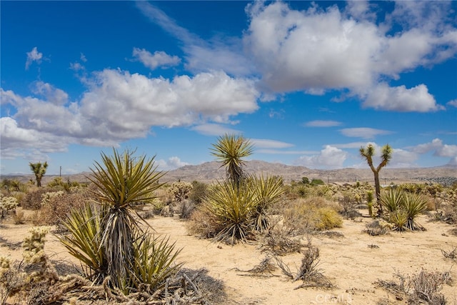 61246 Melton Trl, Joshua Tree, CA 92252