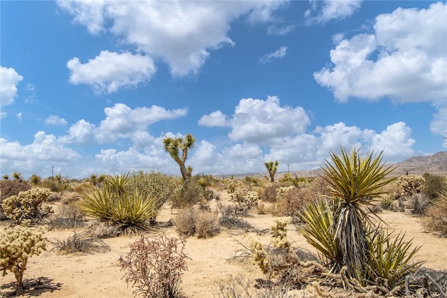 61246 Melton Trl, Joshua Tree, CA 92252