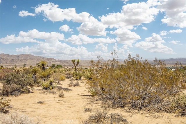 61246 Melton Trl, Joshua Tree, CA 92252