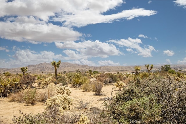 61246 Melton Trl, Joshua Tree, CA 92252