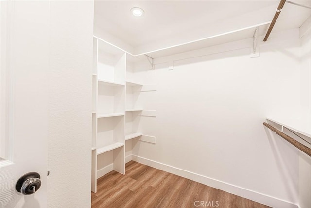 spacious closet with light wood-type flooring