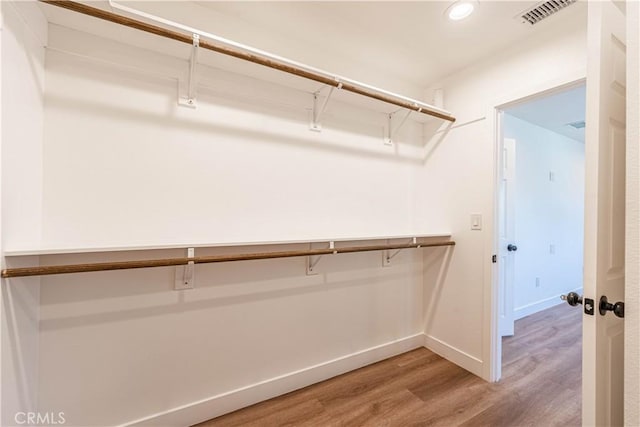 spacious closet with wood-type flooring