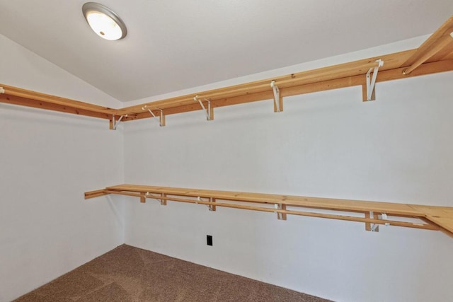 spacious closet with lofted ceiling and carpet floors