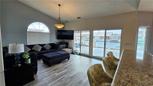 living room featuring lofted ceiling, a wealth of natural light, and wood-type flooring