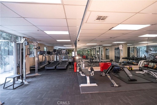 gym featuring carpet floors and a paneled ceiling