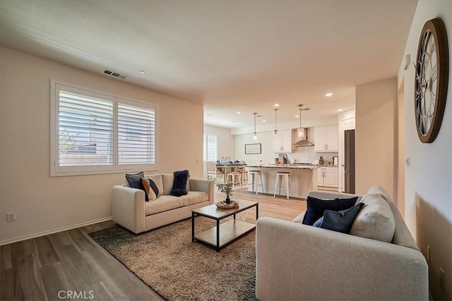 living room with light wood-type flooring and a wealth of natural light