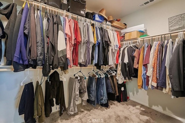 walk in closet featuring carpet floors