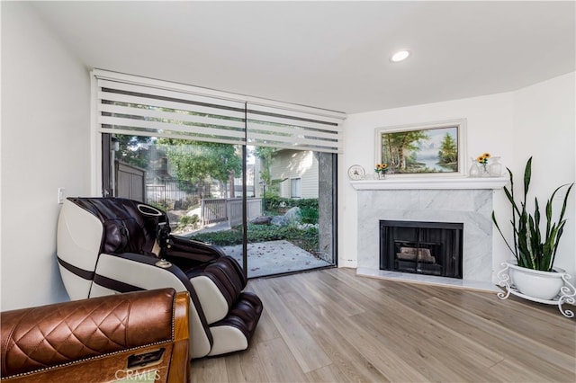 living room with light hardwood / wood-style floors and a fireplace