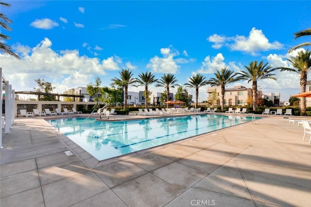 view of swimming pool with a patio