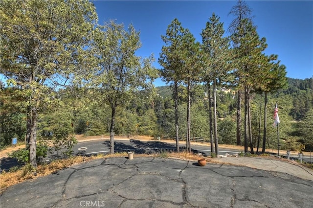 24531 San Moritz Dr, Crestline, CA 92325 - photo 43